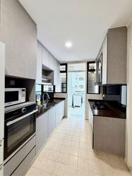 Tanglin Park (D10), Condominium #612376471